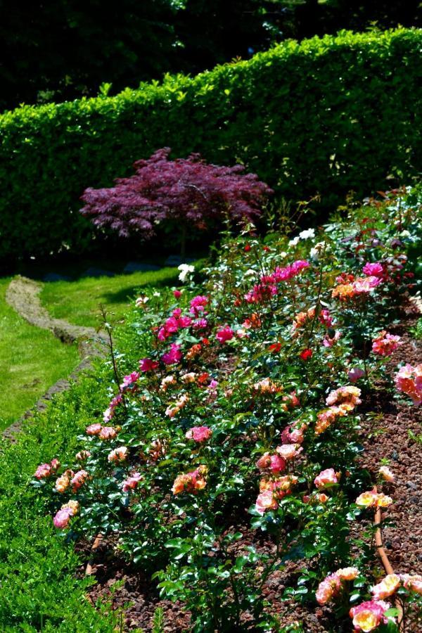 Le Grigne Guesthouse - The Garden Oliveto Lario Dış mekan fotoğraf