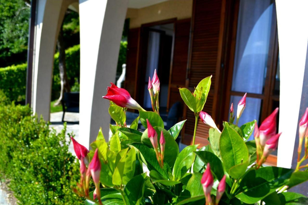 Le Grigne Guesthouse - The Garden Oliveto Lario Dış mekan fotoğraf